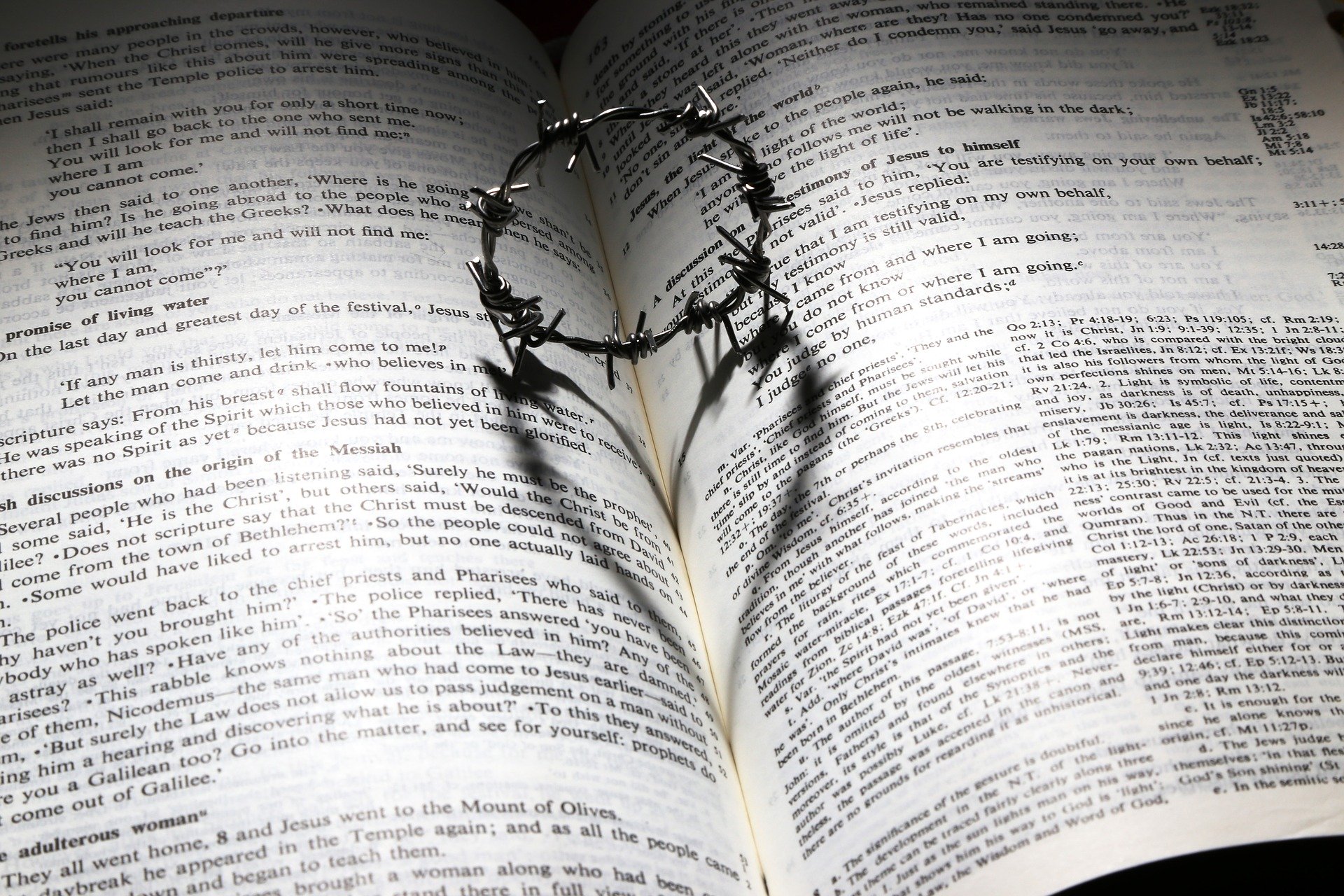 Bible love thorns